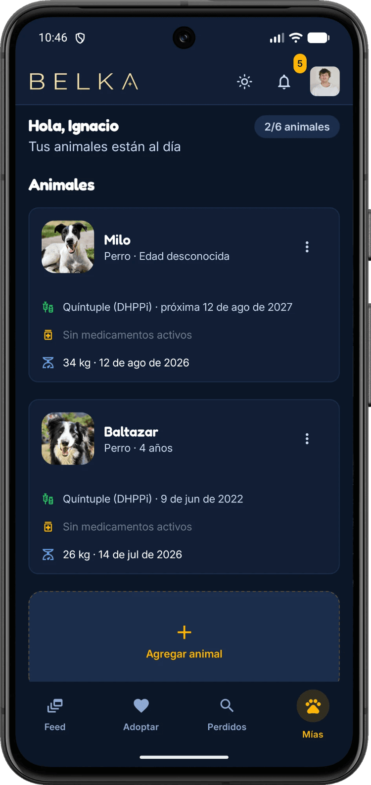 La app de Belka mostrando la libreta de animales registrados